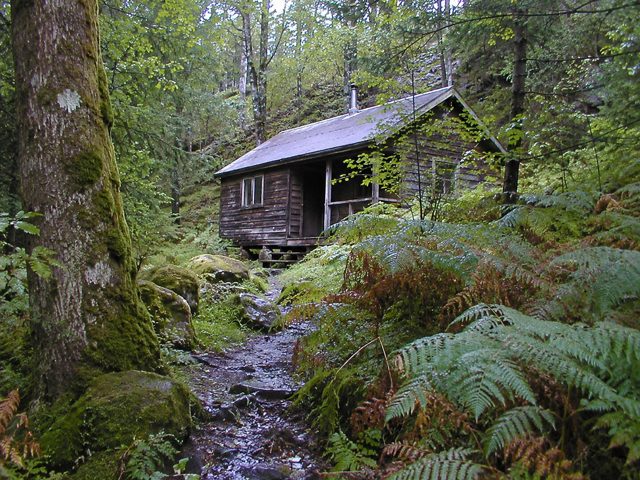 Gordon's research cabin in the forest